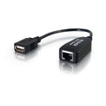 CABLES TO GO 29350 1-Port USB Superbooster Dongle - Receiver