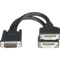 CABLES TO GO 38064 9in One LFH-59 (DMS-59) Male to Two DVI-I&trade; Female Cable