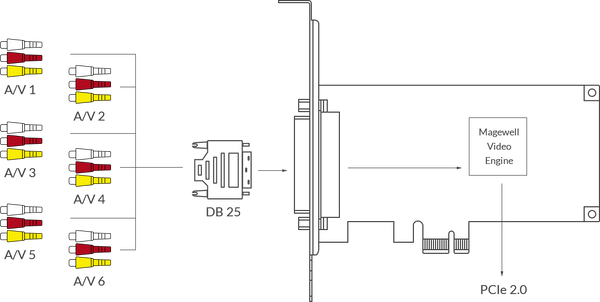 MAGEWELL 11250 Pro Capture Hexa CVBS