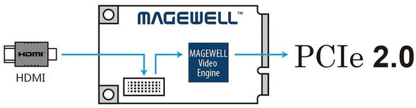 MAGEWELL 11110 Pro Capture Mini HDMI (PC-100-DME-HDMI)