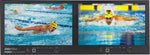 DATAVIDEO TLM-102
