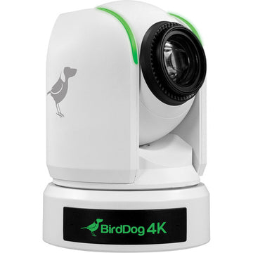 BIRDDOG BDP4KWHITE 4K 12x Full NDI PTZ Camera with 1" Sony Sensor (White)