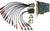 OSPREY 95-00487 Osprey 827e Two Channel Analog and Digital with SimulStream